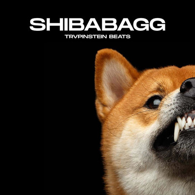 Shibabagg/Trvpinstein Beats