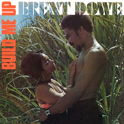 A  Little Bit of Love/Brent Dowe