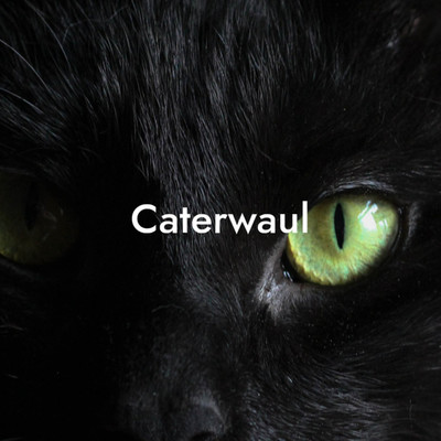 Caterwaul/Swizzll