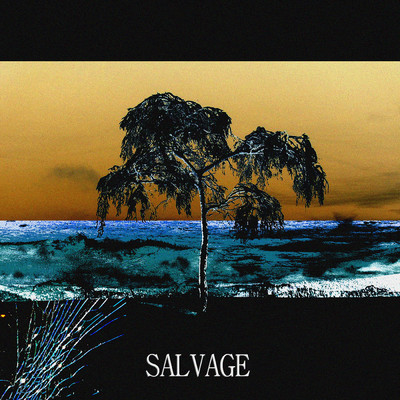 SALVAGE/Badavice