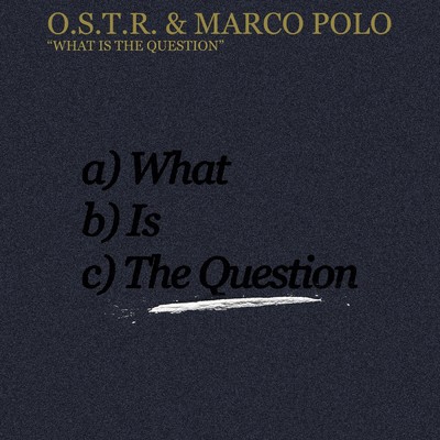What Is The Question (Explicit)/Marco Polo
