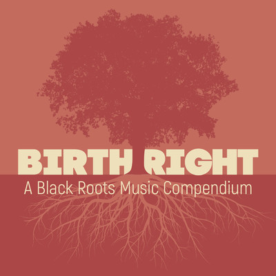 アルバム/Birthright: A Black Roots Music Compendium (Blues Sampler)/Various Artists