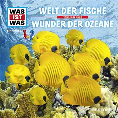 31: Welt der Fische ／ Wunder der Ozeane/Was Ist Was
