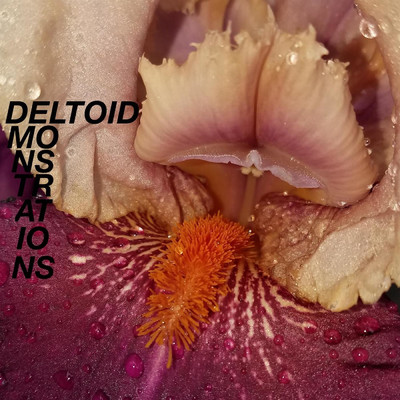 アルバム/Demonstrations/Deltoid