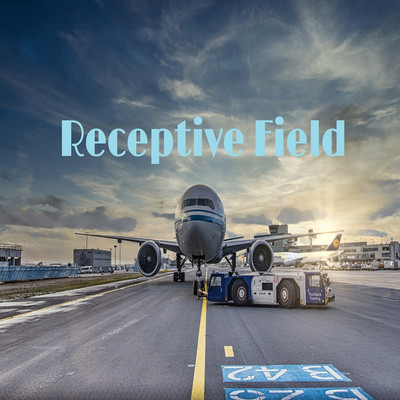 Receptive Field/Pain associate sound