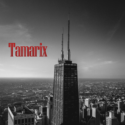 Tamarix/Cinerarias Thistle Lantana