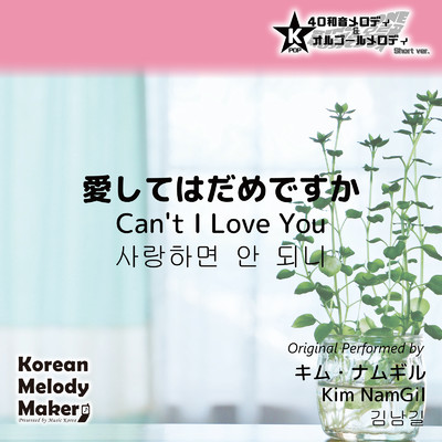 愛してはだめですか〜K-POP40和音メロディ&オルゴールメロディ (Short Version)/Korean Melody Maker