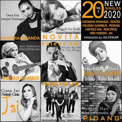 20 New Singles 2020 Volume 1/Various Artists