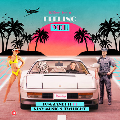 Feeling You (feat. SJAY MUSIC Twilight)/Tom Zanetti