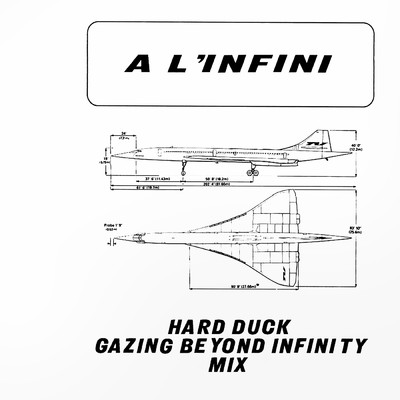 A L'Infini (Hard Duck Gazing Beyond Infinity Mix)/Ahmak