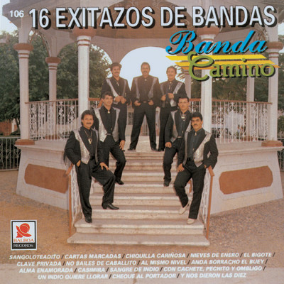 アルバム/16 Exitazos De Bandas/Banda Camino