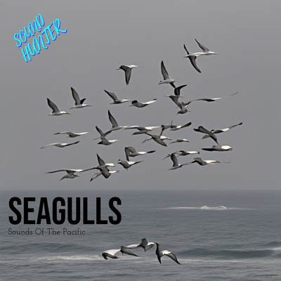 Seagulls Pacific 2/Sound Hunter