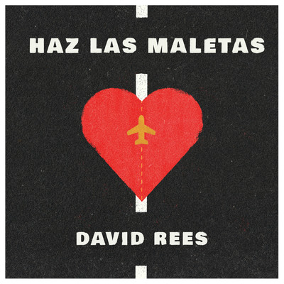 Haz Las Maletas/David Rees