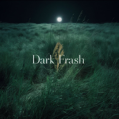 シングル/Dark Frash/Seraphim