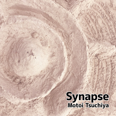 Synapse/土屋 基