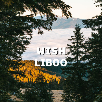 WISH/LIBOO