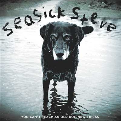 アルバム/You Can't Teach An Old Dog New Tricks/Seasick Steve