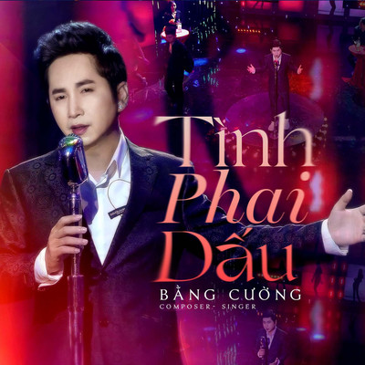 アルバム/Tinh Phai Dau/Bang Cuong