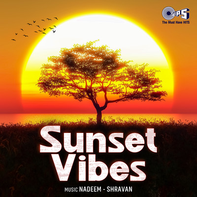 アルバム/Sunset Vibes/Nadeem-Shravan