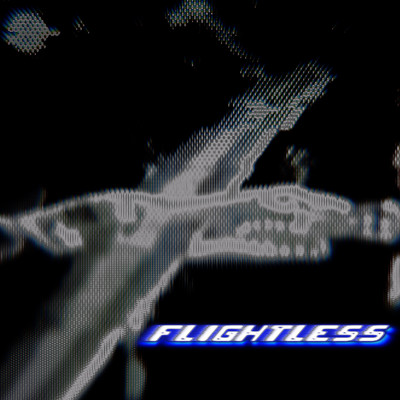 Flightless/no luck.