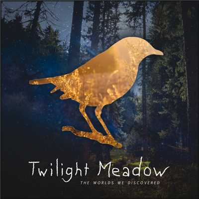 Dreamy Eyes (featuring Sunroof)/Twilight Meadow