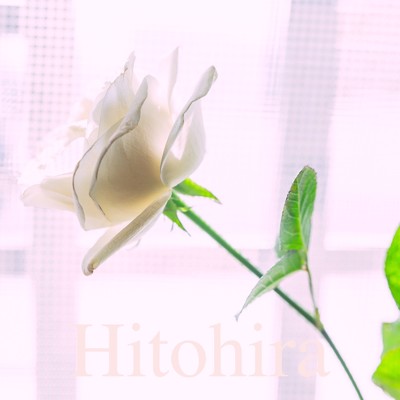 シングル/Hitohira/Akasa Nature.
