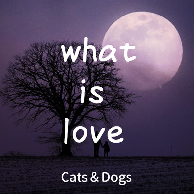 シングル/what is love/Cats&Dogs