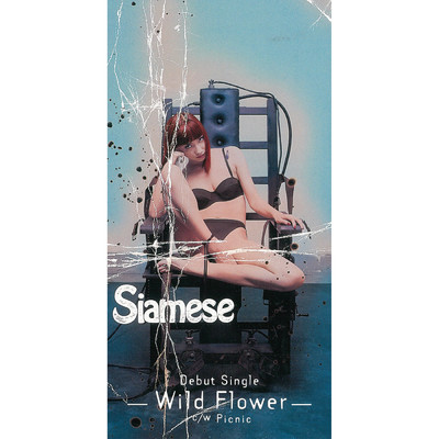 シングル/Wild Flower(Back Track)/Siamese
