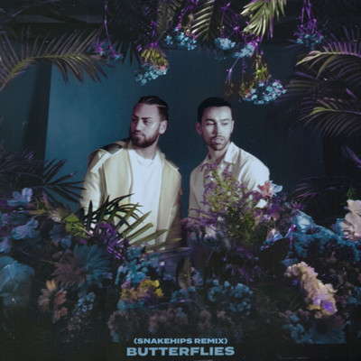 シングル/Butterflies (Snakehips Remix)/MAX & Ali Gatie