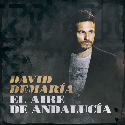 シングル/El aire de Andalucia/David DeMaria