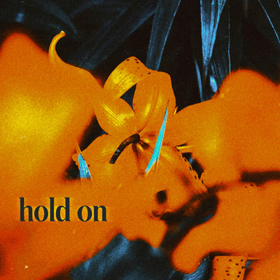 シングル/Hold On/Weston Estate