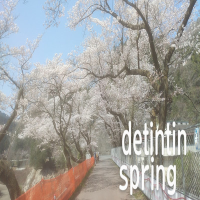 アルバム/spring/detintin