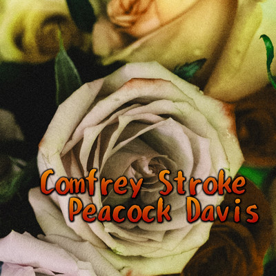 Comfrey Stroke Peacock Davis/Crocosmia kelly