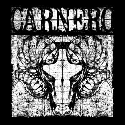 アルバム/S ／ T/Carnero