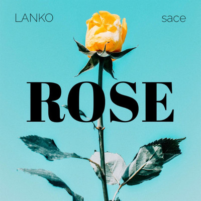シングル/Back/LANKO & Sace