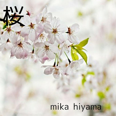 アルバム/桜/mika hiyama