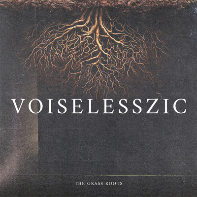 VOISELESSZIC/THE GRASS ROOTS