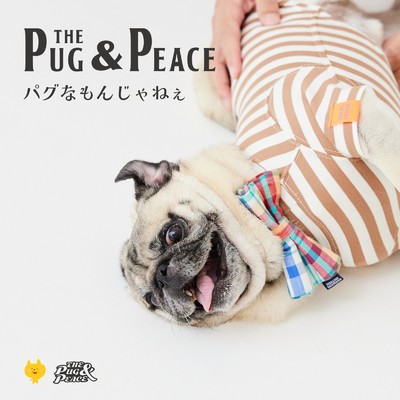 パグなもんじゃねぇ/The Pug & Peace