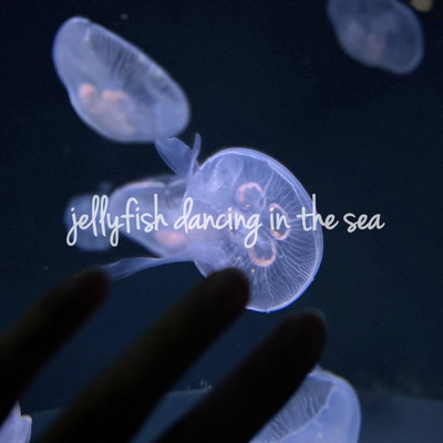 シングル/jellyfish dancing in the sea/コーヒーレイン