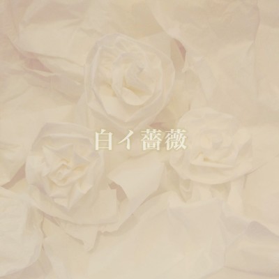 シングル/白イ薔薇 (feat. 森山 瑞樹)/論理, 娑婆 & 花咲 寿行