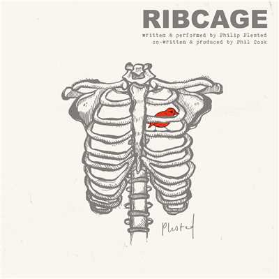 シングル/Ribcage/Plested