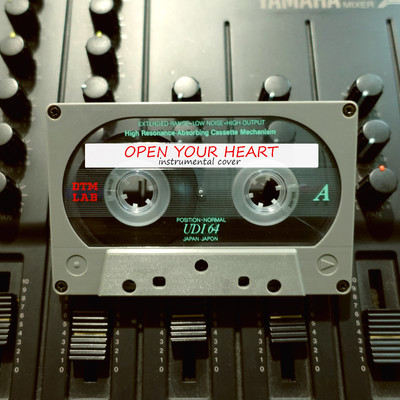 シングル/OPEN YOUR HEART (instrumental cover)/DTM LAB