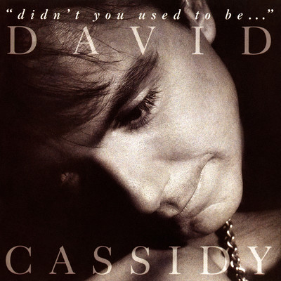 Didn't You Used To Be.../David Cassidy