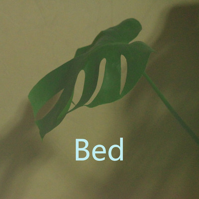 Bed/Music_spark