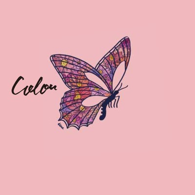 Color (Acoustic Cover)/Anna