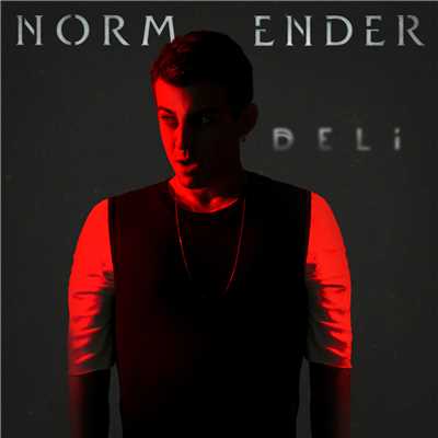 シングル/Deli/Norm Ender