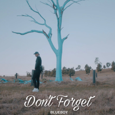 シングル/Don't Forget/Blueboy