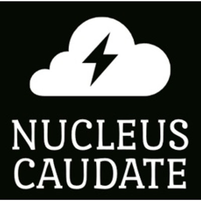 アルバム/Nucleus Caudate/Agnosia fact
