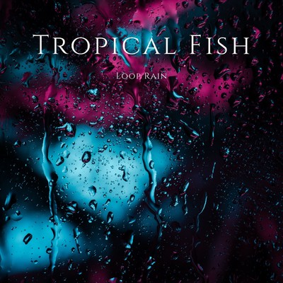 シングル/Loop Rain/Tropical Fish