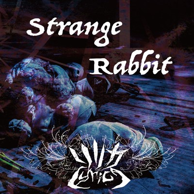 シングル/Strange Rabbit/リリカ